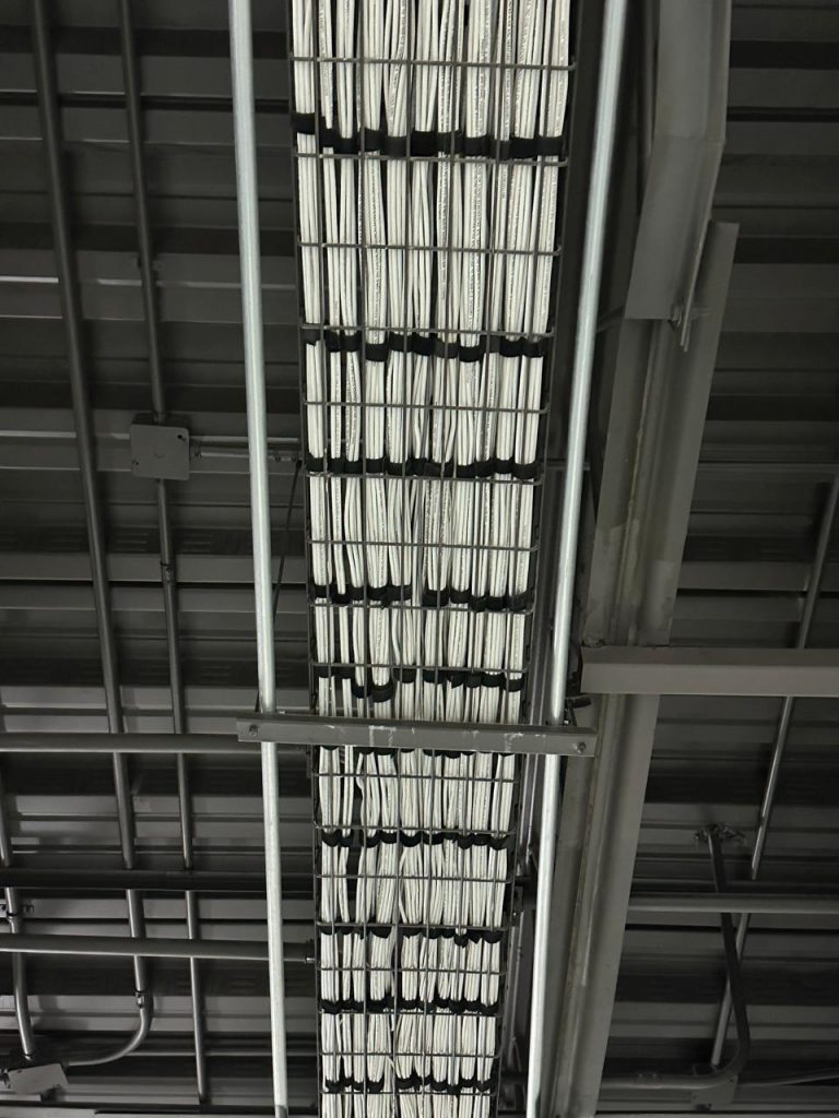 whatsapp image 2026 01 26 at 11.44.04 am